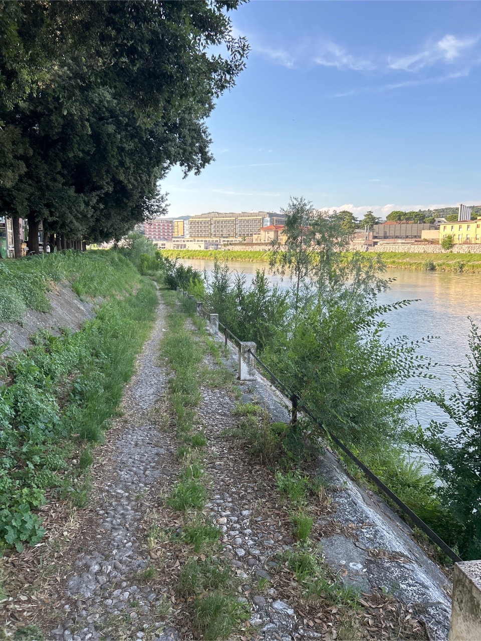 Aiuola trascurata lungo il fiume
