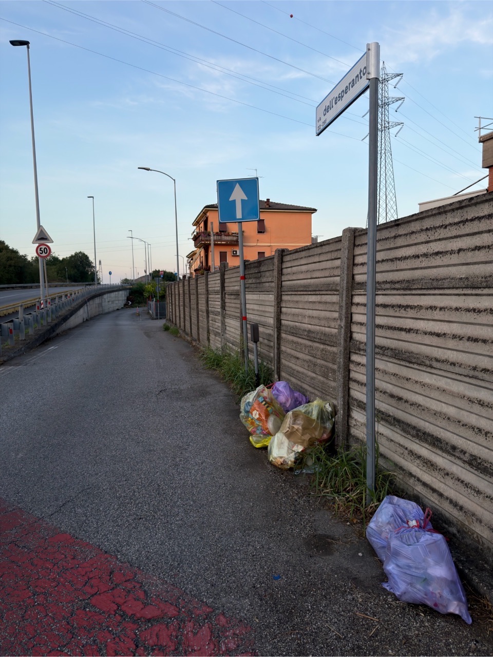 Sono presenti sacchi di rifiuti abbandonati lungo il marciap