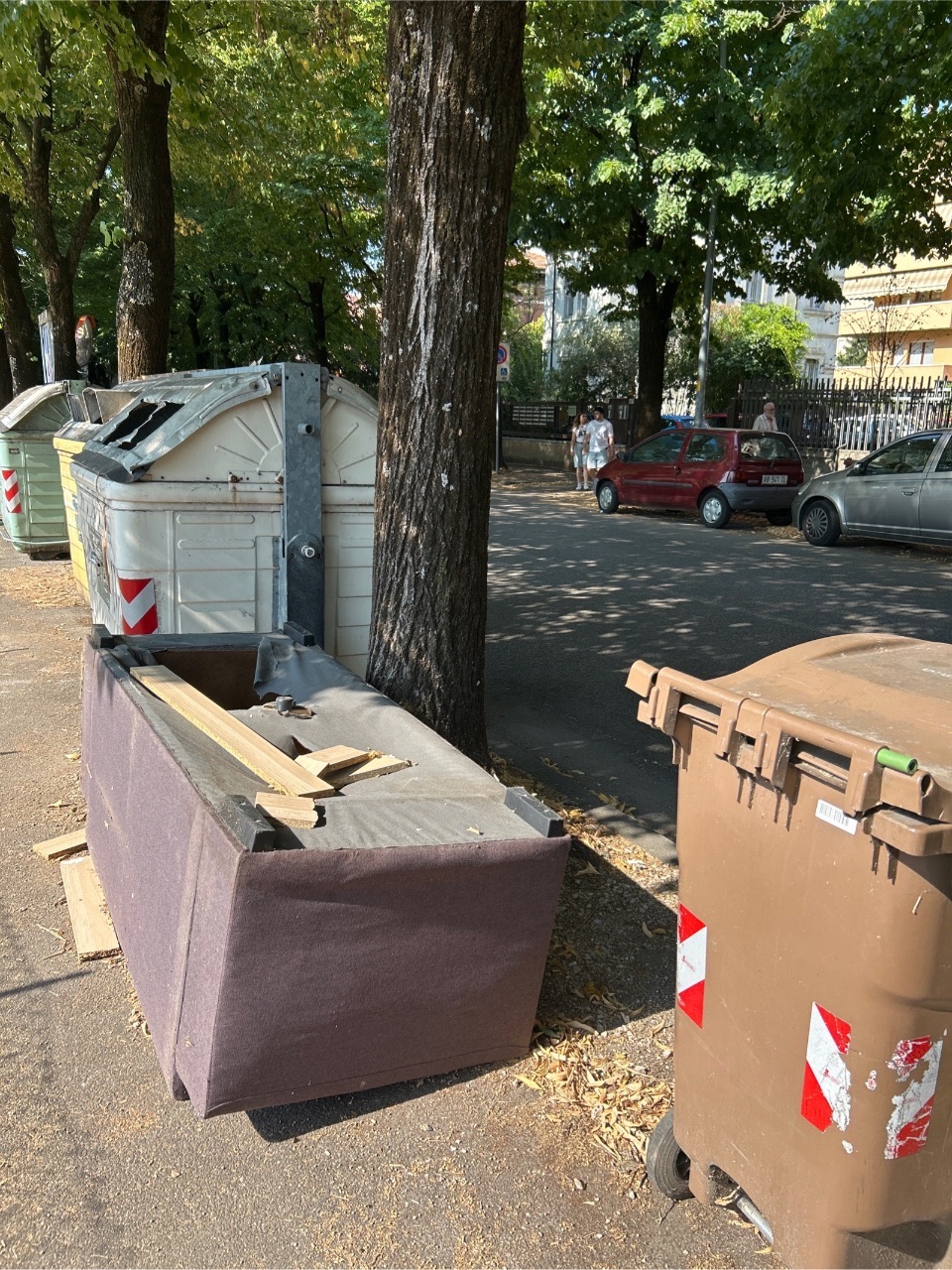 Nella foto si osservano rifiuti abbandonati accanto ai casso