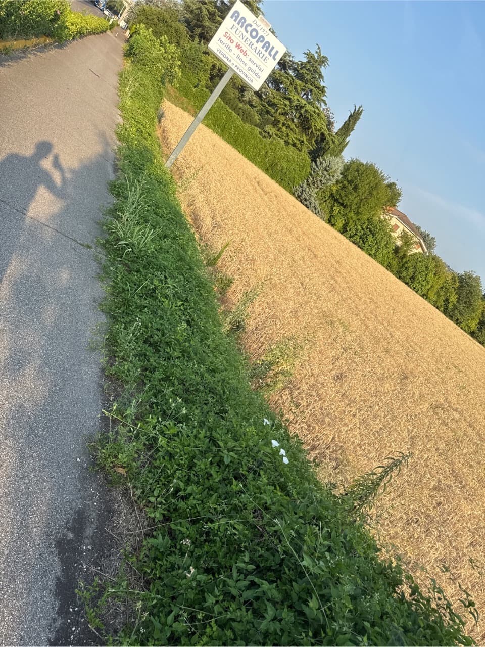 Recinzione divelta