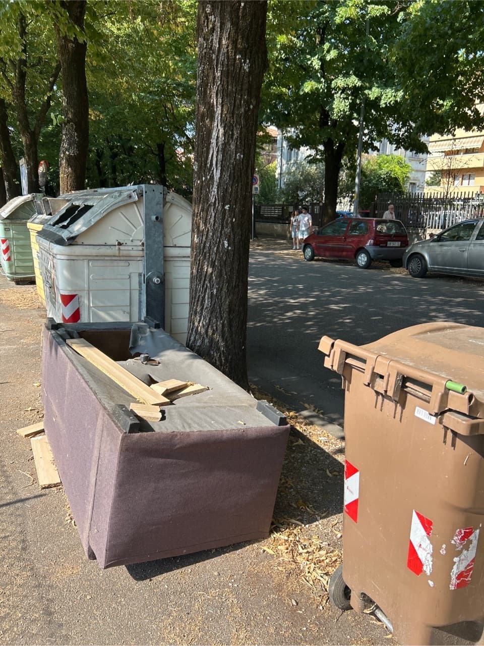 Nella foto si osservano rifiuti abbandonati accanto ai casso